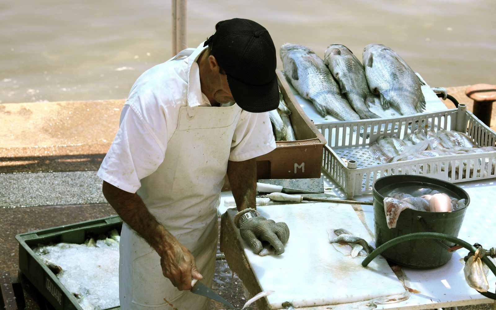 Man in an apron and mesh glove filleting a fish with a knife on a cutting board, with whole fish on ice beside him