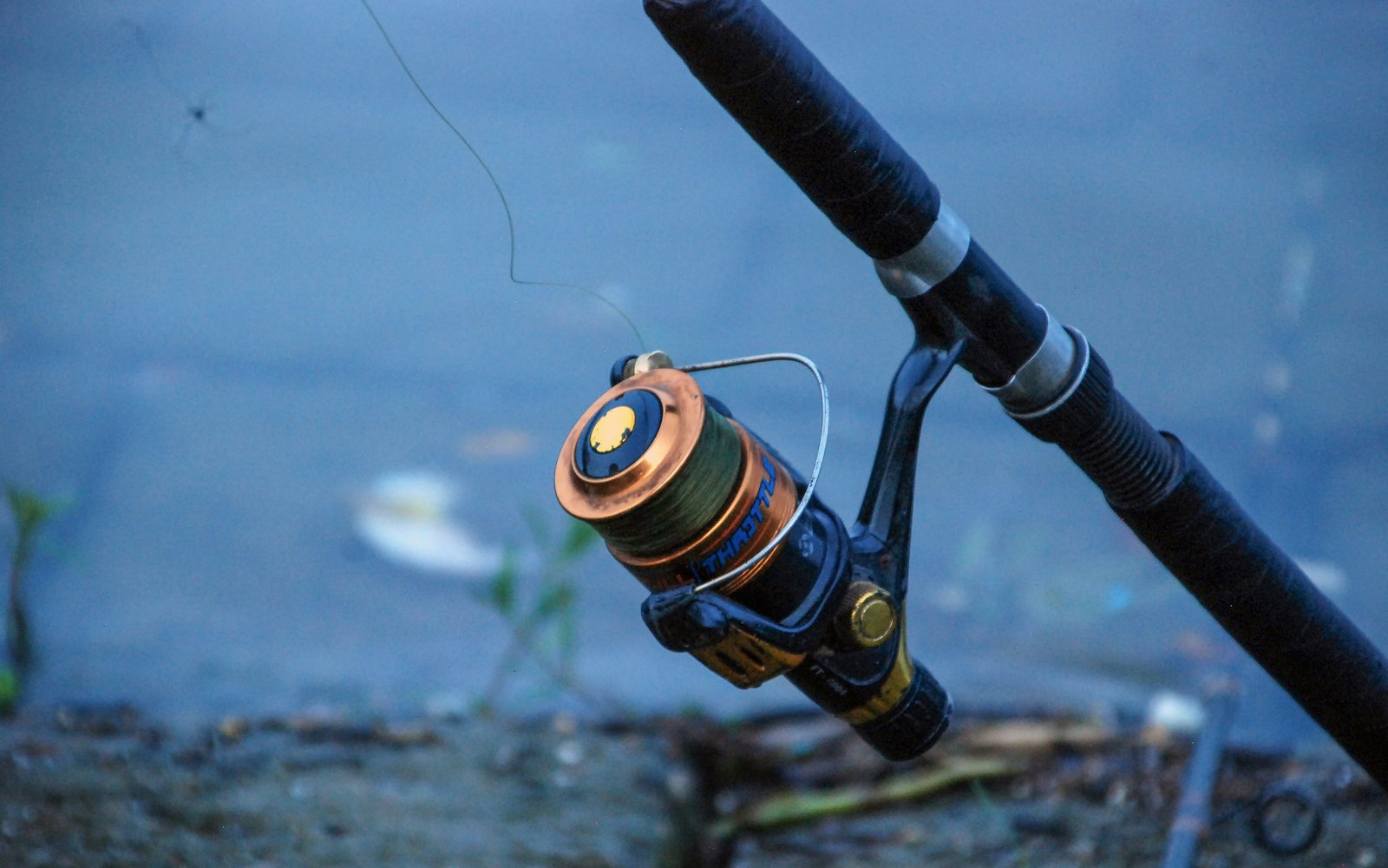 Spinning reel hanging under a rod with line running up through the guides, beside a lake